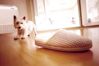 Comfort Within Your Home